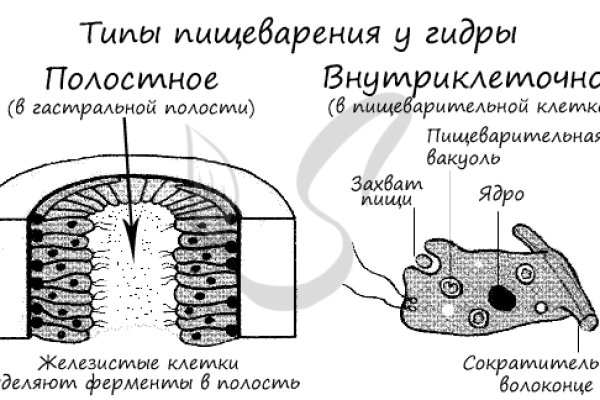 Что такое кракен маркетплейс в россии