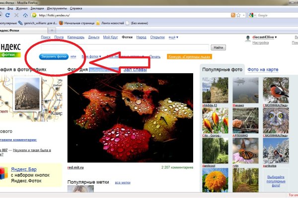 Ссылка кракен официальная тор
