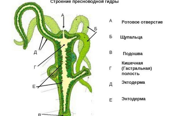 Как зайти на кракен тор
