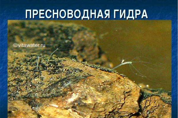 Войти на кракен