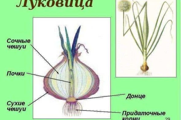 Кракен ссылка на рабочее зеркало