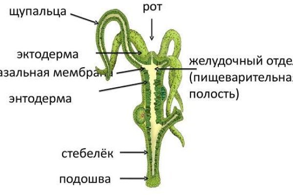 Официальный сайт kraken ссылки зеркала