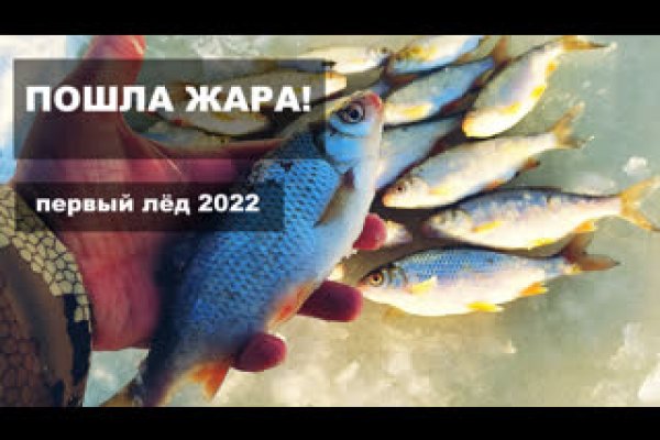 Какая сейчас ссылка на кракен
