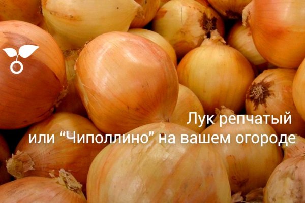 Кракен безопасный вход