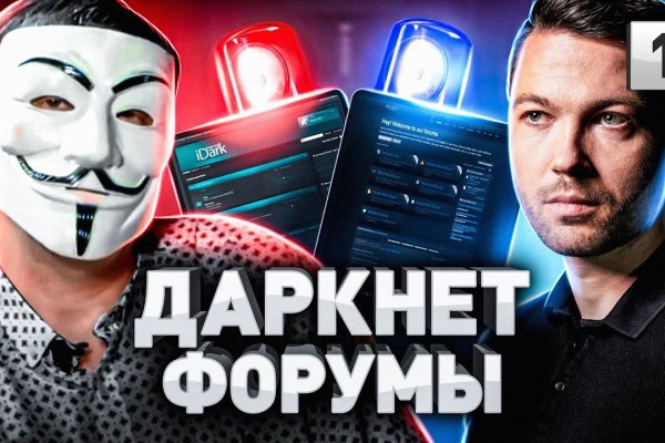Что за приложение кракен