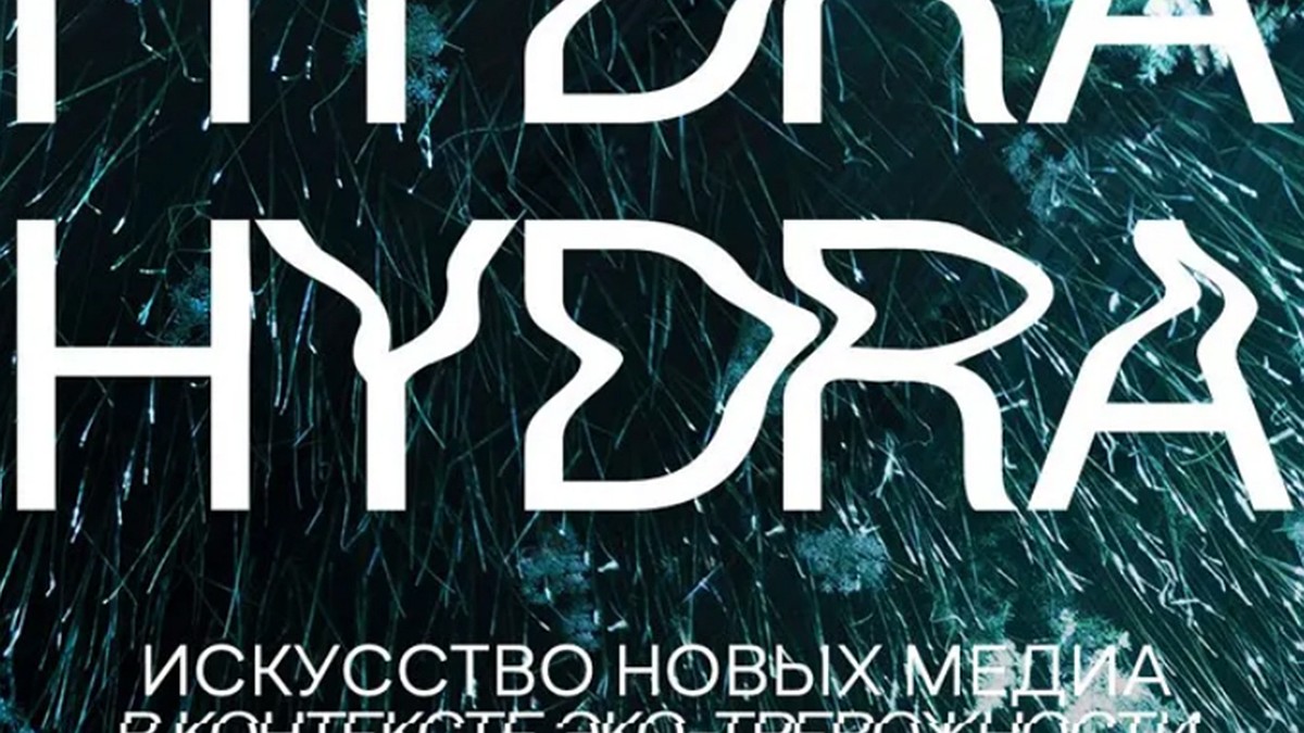 Kraken market ссылка тор