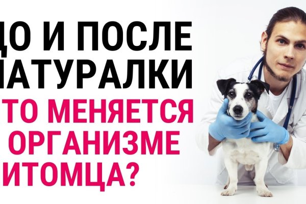 Как вернуть аккаунт на кракене