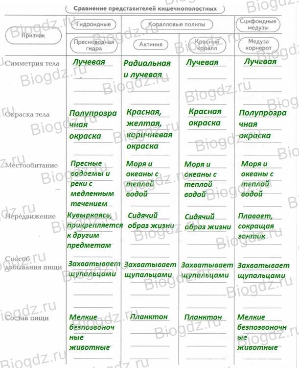 Кракен портал